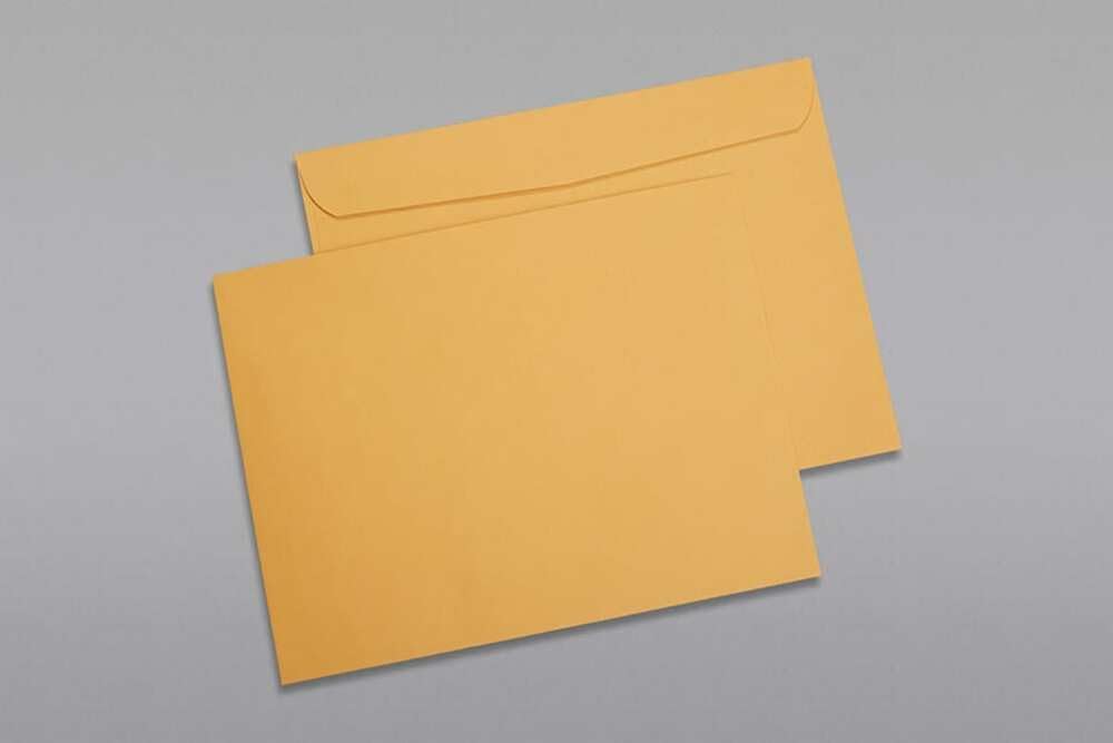 Limited Papers (TM) Booklet Envelopes, (Open Side) Brown Kraft, Gummed Seal, 28 Pound, Heavyweight, For Mailing And More. (250, 9 x 12)