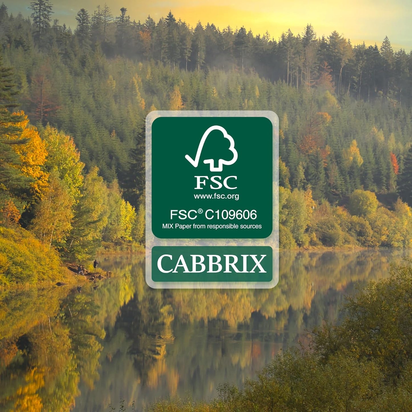 Cabbrix Desk Calendar 2025-2026 with Desktop Mat, Simple Desk Pad Calendar 15 x 12 Inch Include July 2025 to June 2026, Desk Blotter Calendar for Home School and Office