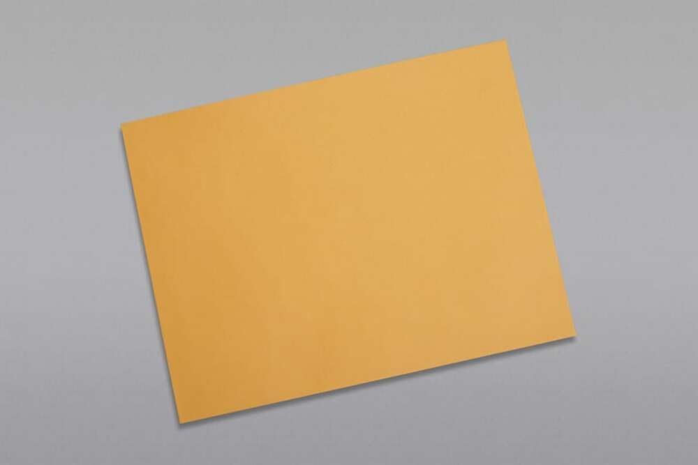 Limited Papers (TM) Booklet Envelopes, (Open Side) Brown Kraft, Gummed Seal, 28 Pound, Heavyweight, For Mailing And More. (500, 10 x 13)