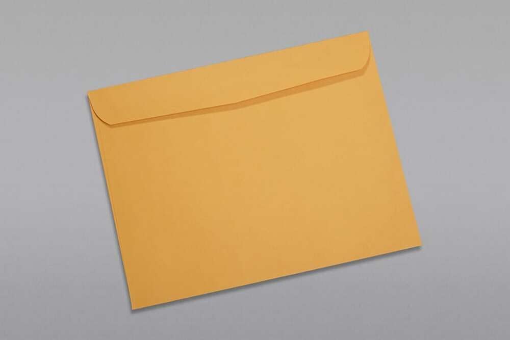 Limited Papers (TM) Booklet Envelopes, (Open Side) Brown Kraft, Gummed Seal, 28 Pound, Heavyweight, For Mailing And More. (500, 9 x 12)