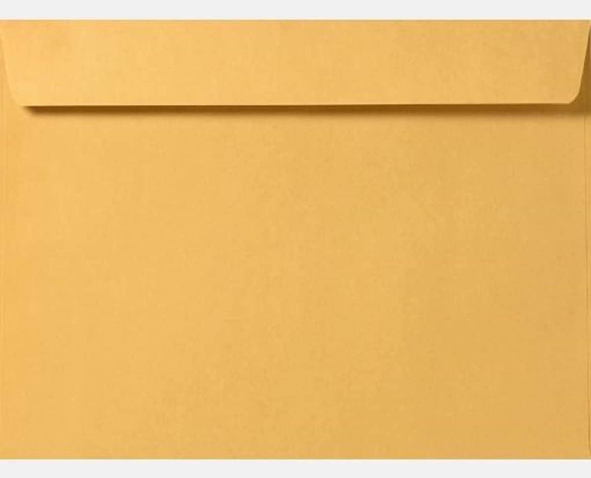 Limited Papers (TM) Booklet Envelopes, (Open Side) Brown Kraft, Gummed Seal, 28 Pound, Heavyweight, For Mailing And More. (1000, 10 x 13)