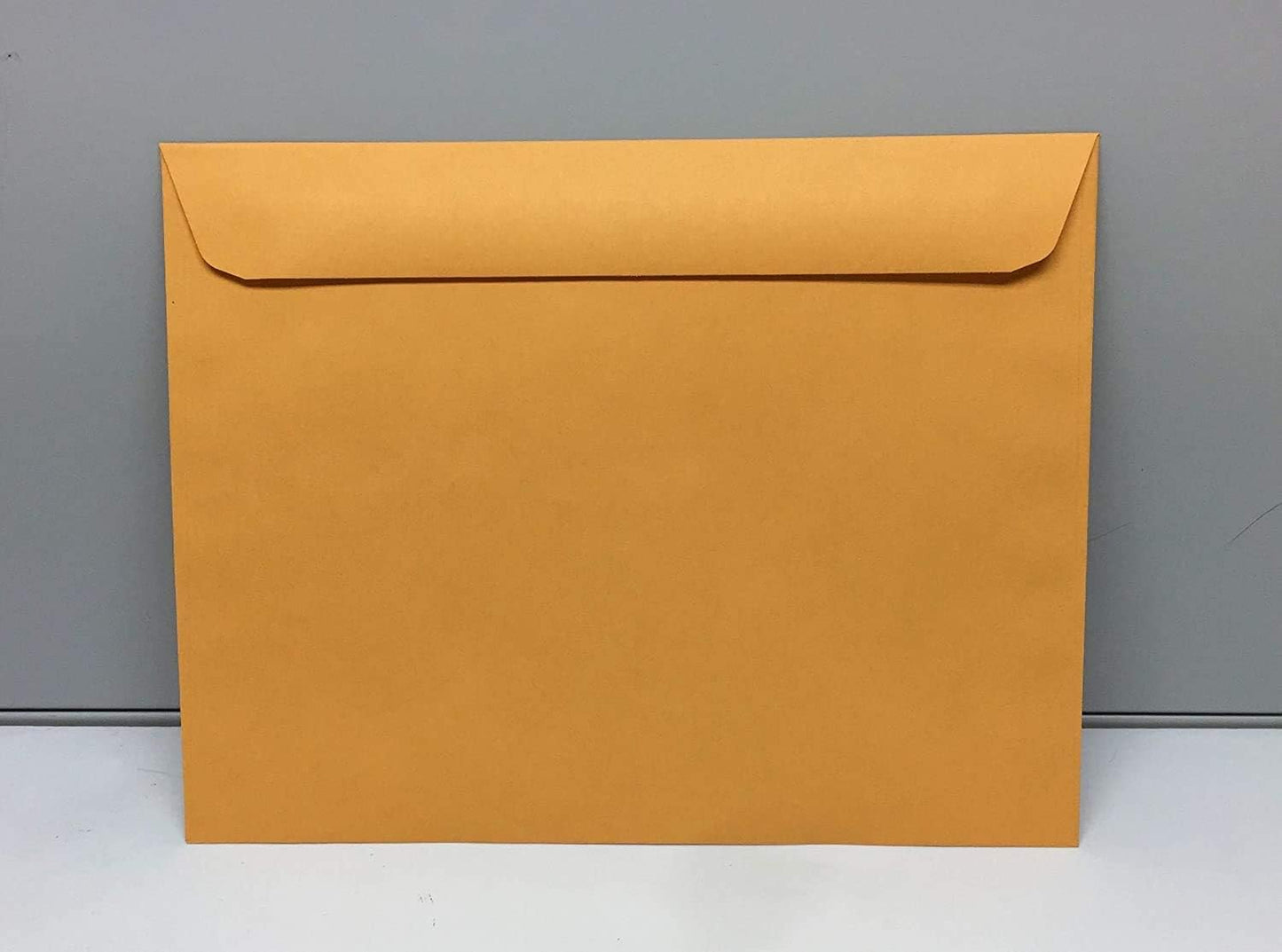 Limited Papers (TM) Booklet Envelopes, (Open Side) Brown Kraft, Gummed Seal, 28 Pound, Heavyweight, For Mailing And More. (250, 9.5 x 12.5)