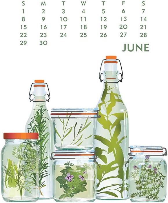 Linnea Design 2025 Poster Calendar 11 x 14" Artwork by Johanna Riley