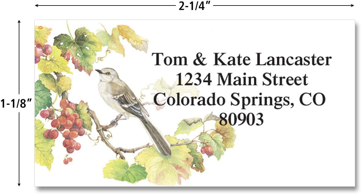 Colorful Images Songbirds Return Address Mailing Labels, Personalize with Name & Addresses, Set of 144 Self Adhesive, Easy Peel Flat Label Sheets, 1 ⅛ x 2 ¼”, 6 Designs