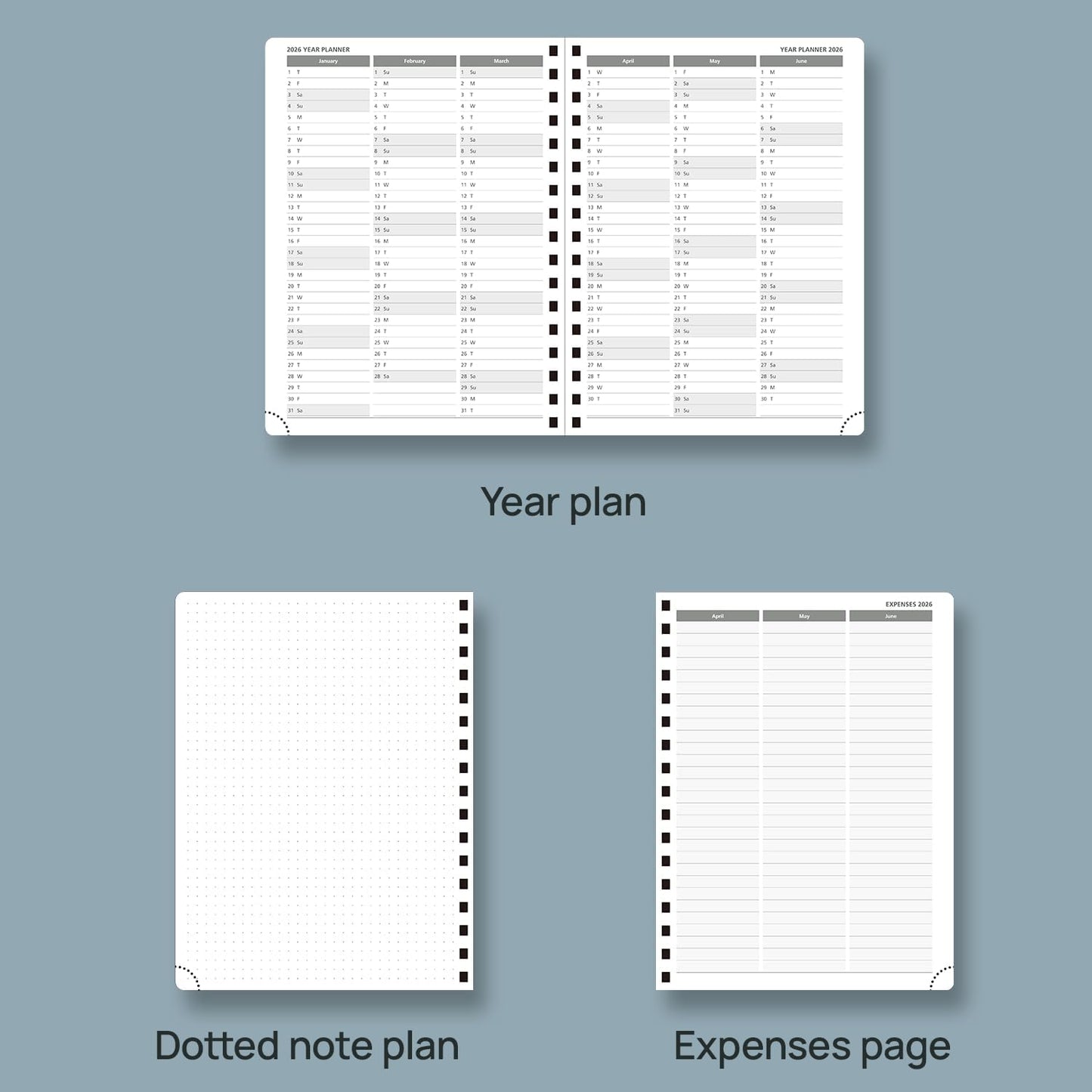 POPRUN 2026 Planner (Medium - 6.5'' x 8.5'') with Hourly Schedule, Vertical Layout - 2026 Weekly Calendar (Jan. 2026 - Dec.2026) for Time Management, Monthly Tabs, Spiral Bound, Soft Cover - Pacific Green