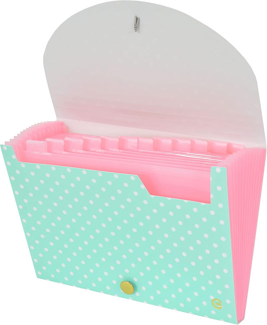 CNK File Folders Organizer with 13 Pockets Accordion Expanding Folder For Documents Receipt Document Paper Pocket Filing Products Accordian Important expandable holder files alphabetical Labels Letter