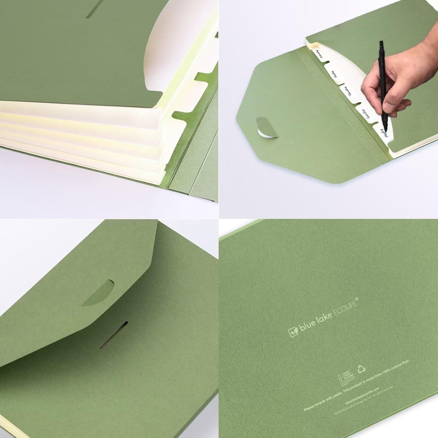 Blue Lake ECOLIFE File Folders Accordion Organizer Plastic Free 6 Pocket Expanding Folders Green