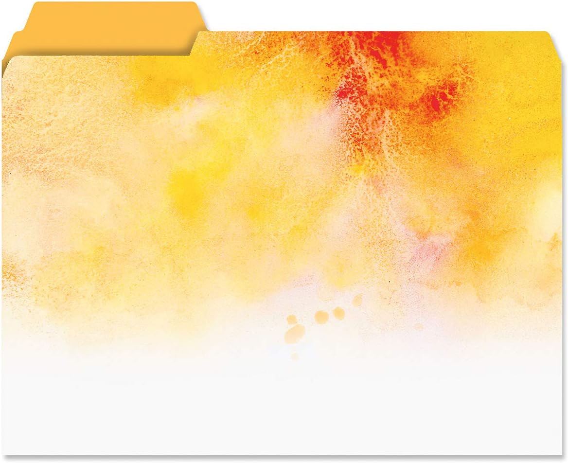 Current Brushstrokes File Folders Value Pack - Bulk Set of 24, 6 Pretty Decorative Designs, 1/3 Cut Tabs, Heavy-Duty Paper Stock, Office Supplies for Home & Work, 9-½” x 11-¾” Letter Size