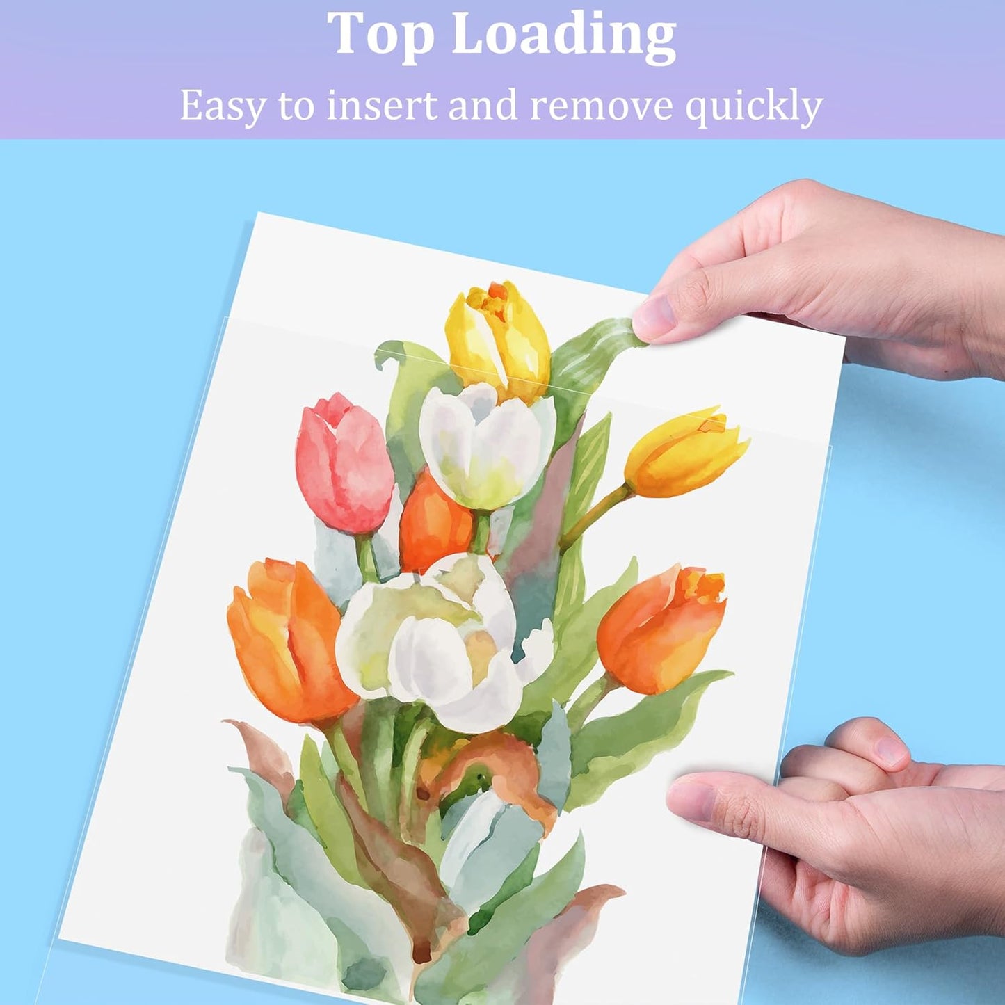 50 Pack No Holes Sheet Protectors 8.5 x 11 Inch Letter Size Page Protectors for Documents, Prints, Top Loading Heavyweight Clear View Plastic Sleeves for Papers, Artworks, Photos