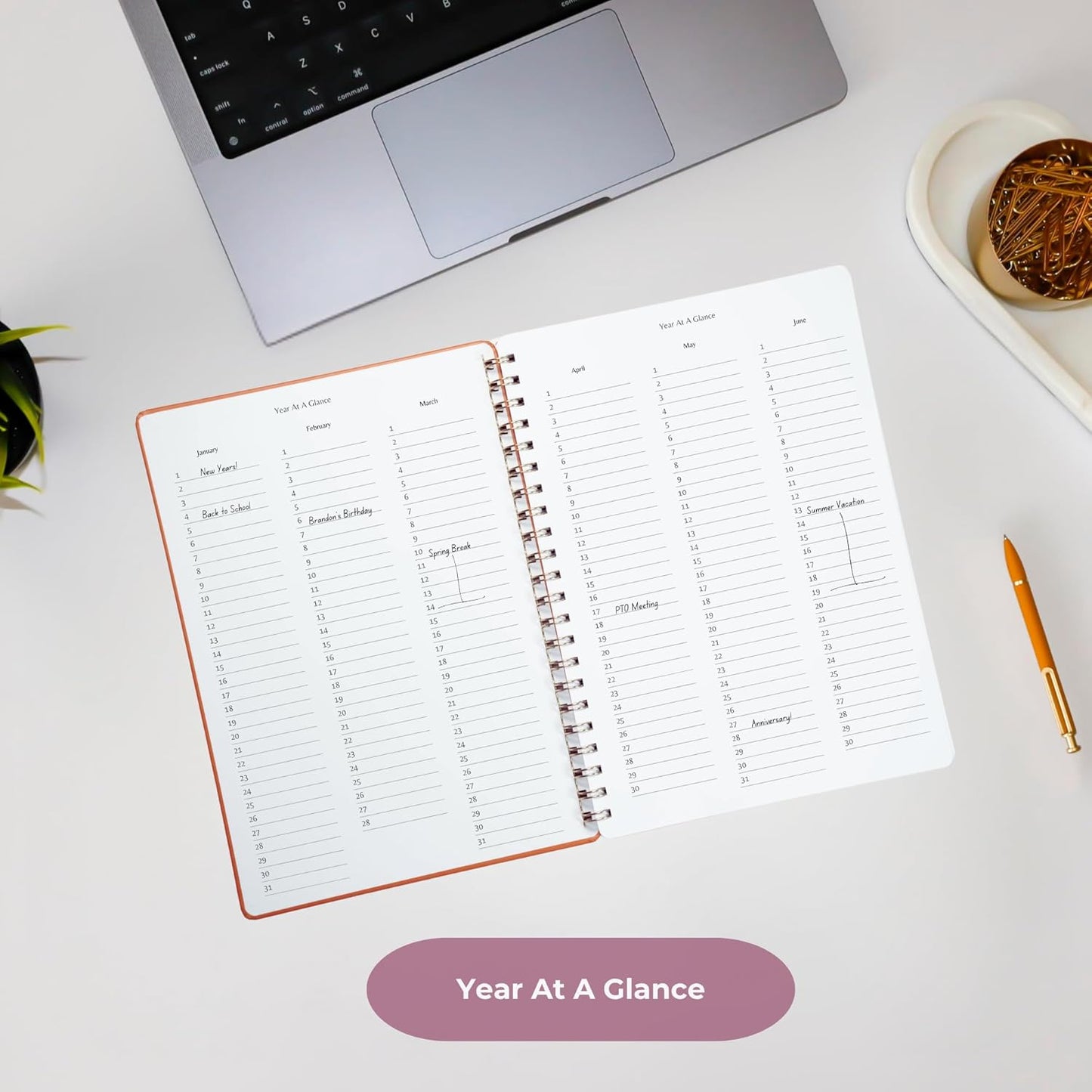 | Ultimate Yearly, Daily, Weekly, Monthly Planner | 8.25" x 11.75" | To Do List Notebook for Work | Simple Design | Multiple Layouts | Academic Planner and Organizer Notebook (Black, Yearly Planner - Portrait)