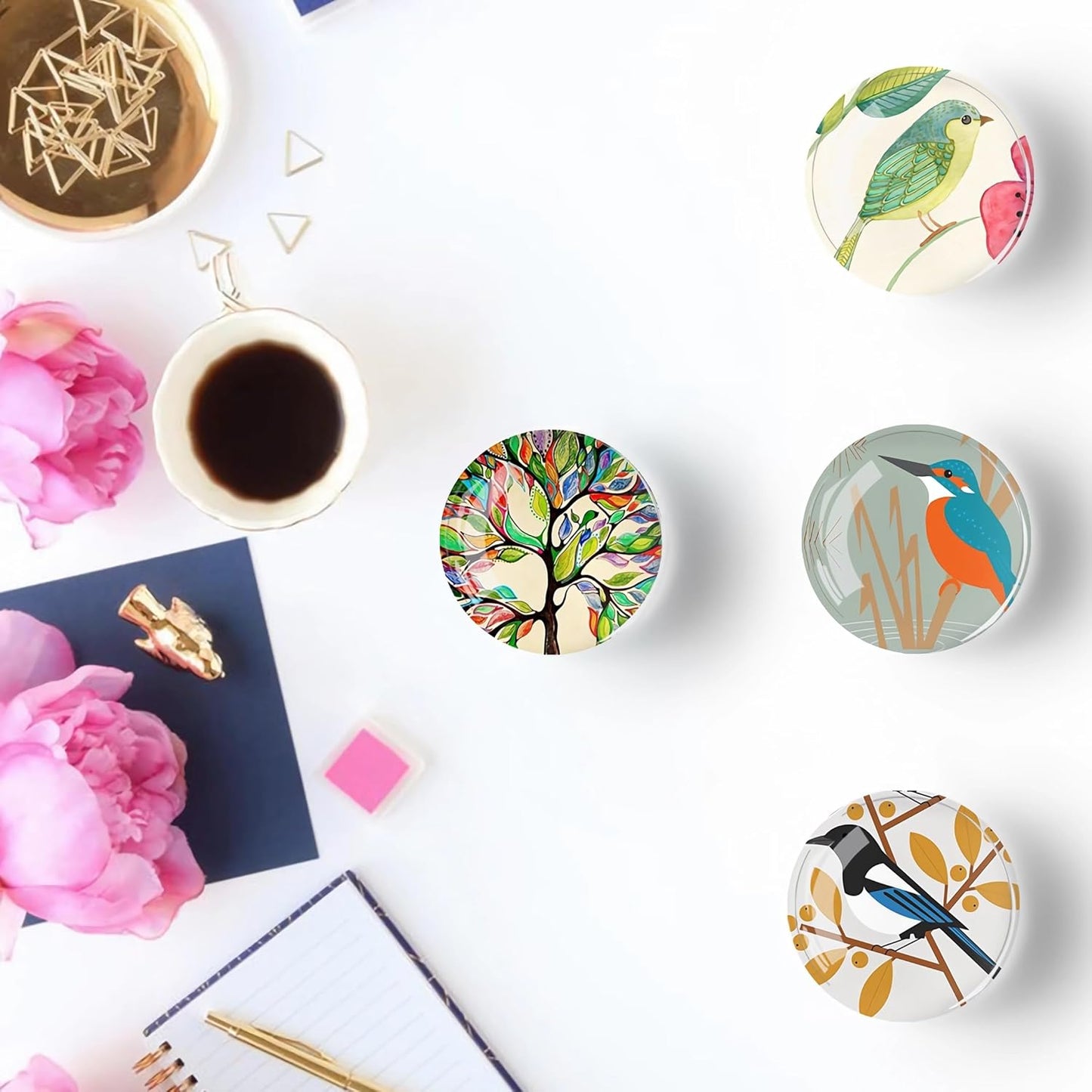 12Pcs Glass Refrigerator Magnet Fridge Sticker,Bird Fridge Magnets Decoration for Crafts,Strong Fridge Magnets for Kitchen, School,Office Whiteboard, Cabinet and Dishwasher