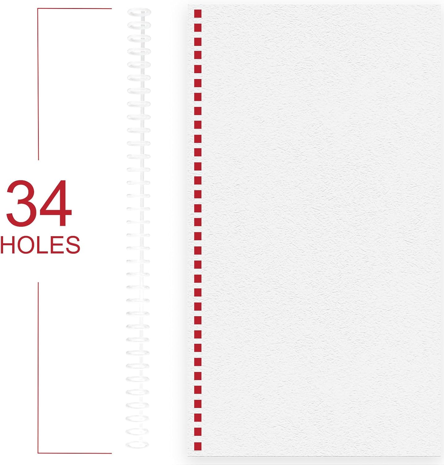 RAYSON Click Binding Spines, 3:1 Pitch, Clear, Binds Up to 120 Sheets, Compatible with A4 and Letter Size Paper, 30-Pack, Reclosable Binding Combs for Presentations & Reports