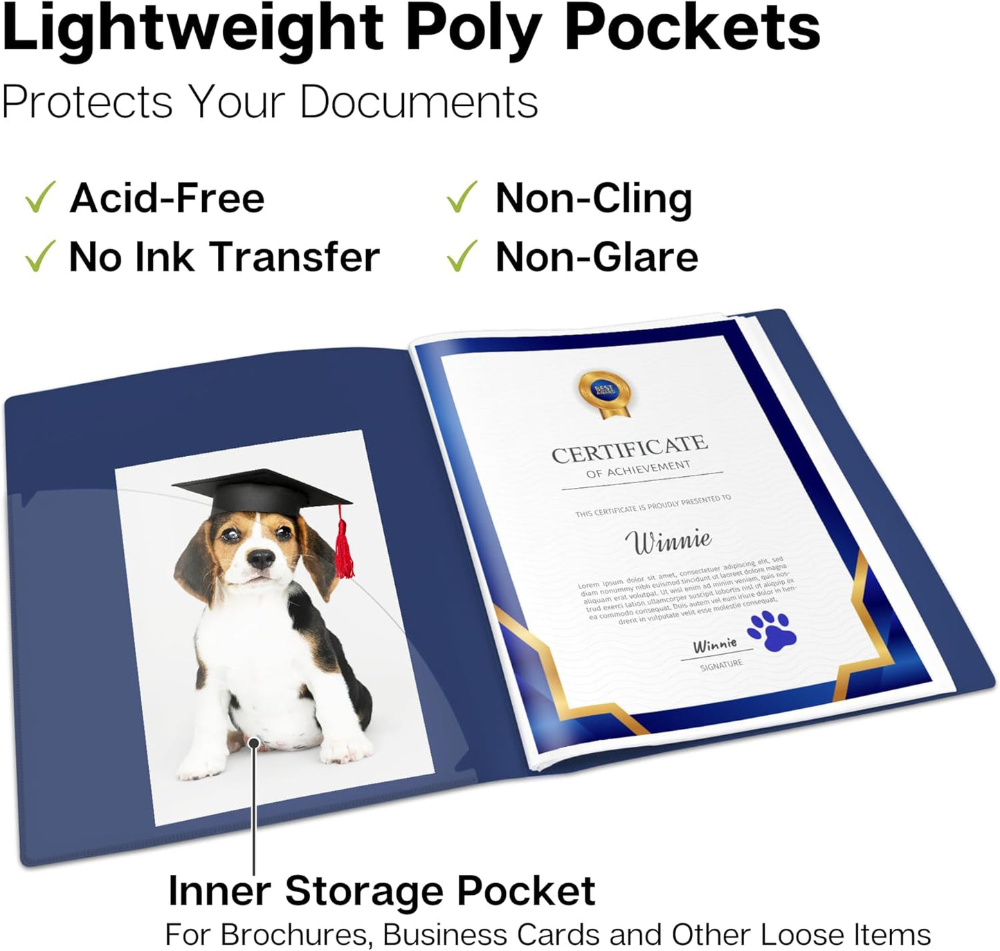 Dunwell Presentation Binder 12-Pocket, Displays 24 Pages, 8.5x11 Portfolio Binder with Plastic Sleeves, Storage and Organizer for Documents, Certificates, Projects, Photos (Blue)