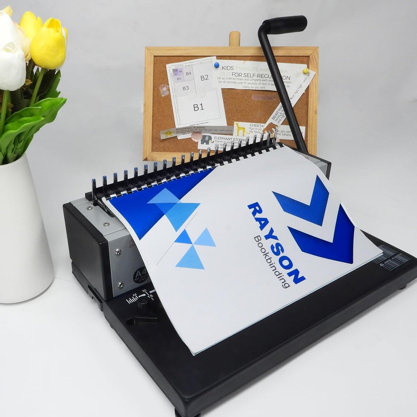 Rayson CR12141618BK Plastic Binding Combs 1/2in. 9/16in, 5/8in, 11/16in, 19-Ring Letter Size, Black Comb Binding Spines, Multi-Size Pack of 80