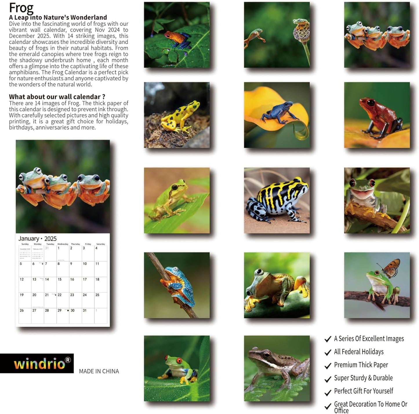 2025 Wall Calendar,Calendar 2025, January 2025 - December 2025, Wall Calendar Frog, 12" x 24" Opened,Full Page Months Thick & Sturdy Paper for Calendar Organizing & Planning