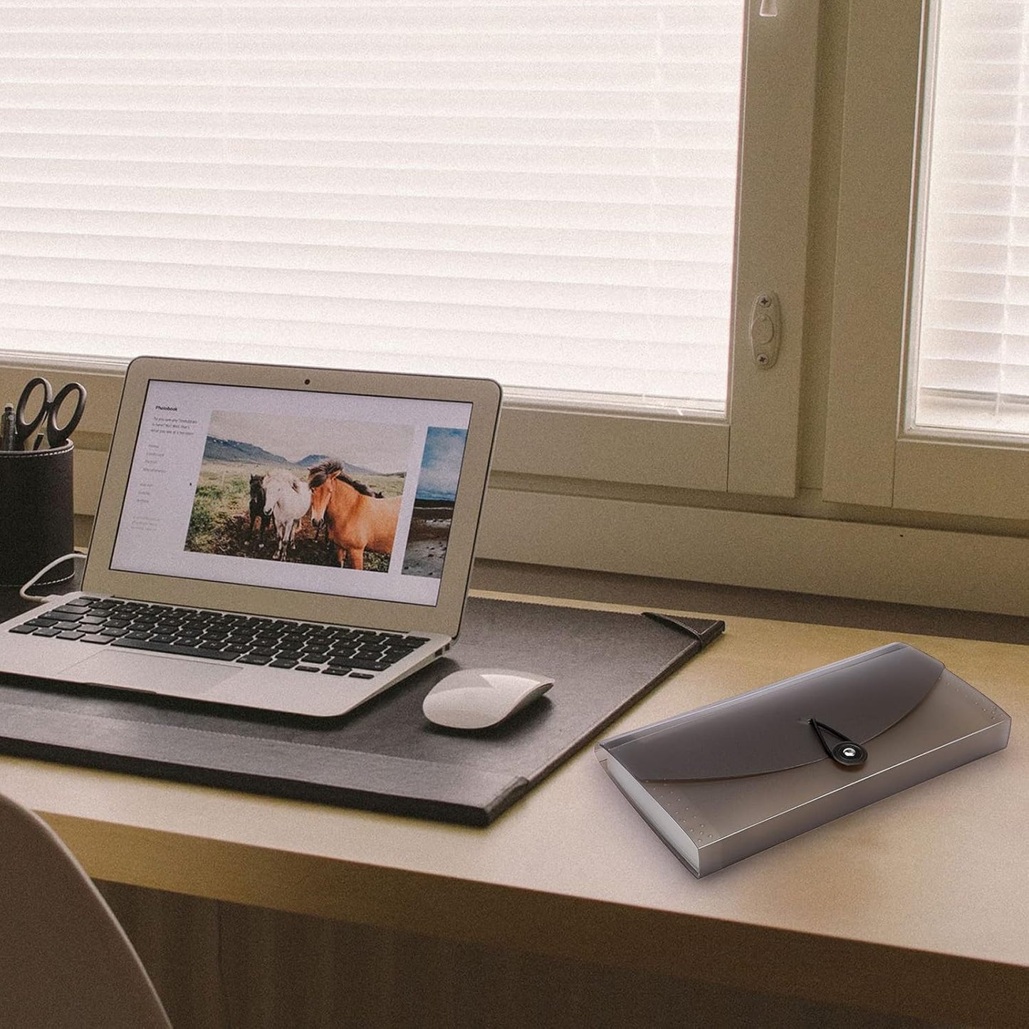 BTSKY Expanding Accordion File 13 Pockets Small Card Ticket Holder Storage Folder Check Bill Plastic Wallet Case (Coffee Translucent)