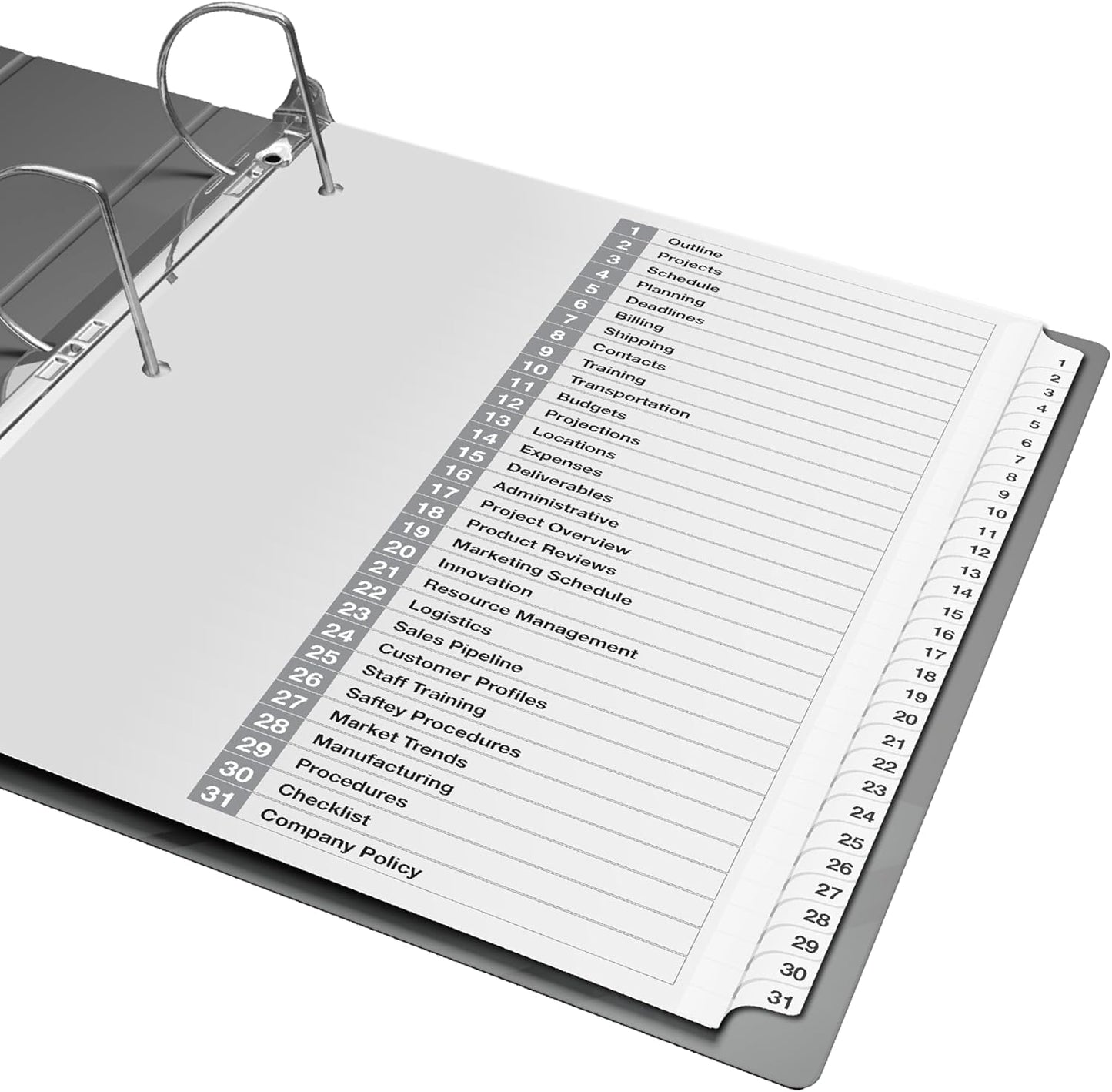 Davis Group 1-31 Index Tab Dividers for 3 Ring Binders, Customizable Table of Contents, 6 Sets