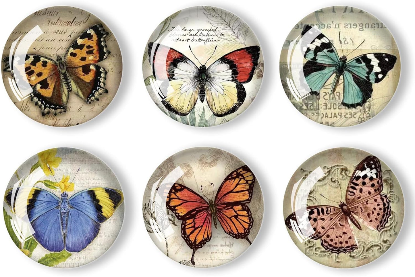 12Pcs Glass Refrigerator Magnet Fridge Sticker,Butterfly Fridge Magnets Decoration for Crafts,Strong Fridge Magnets for Kitchen, School,Office Whiteboard, Cabinet and Dishwasher