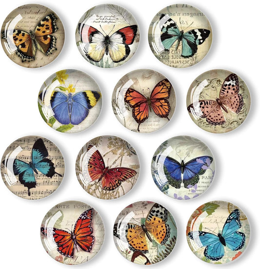 12Pcs Glass Refrigerator Magnet Fridge Sticker,Butterfly Fridge Magnets Decoration for Crafts,Strong Fridge Magnets for Kitchen, School,Office Whiteboard, Cabinet and Dishwasher