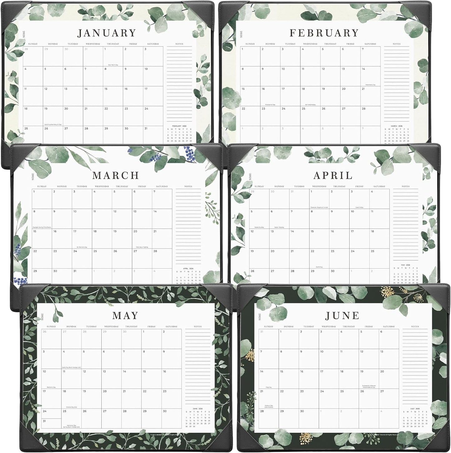 Cabbrix Desk Calendar 2025-2026, 18 Months Calendar Runs Until December 2026, Medium 15" x 12" Monthly Desktop Calendar with Mat for Home Office School