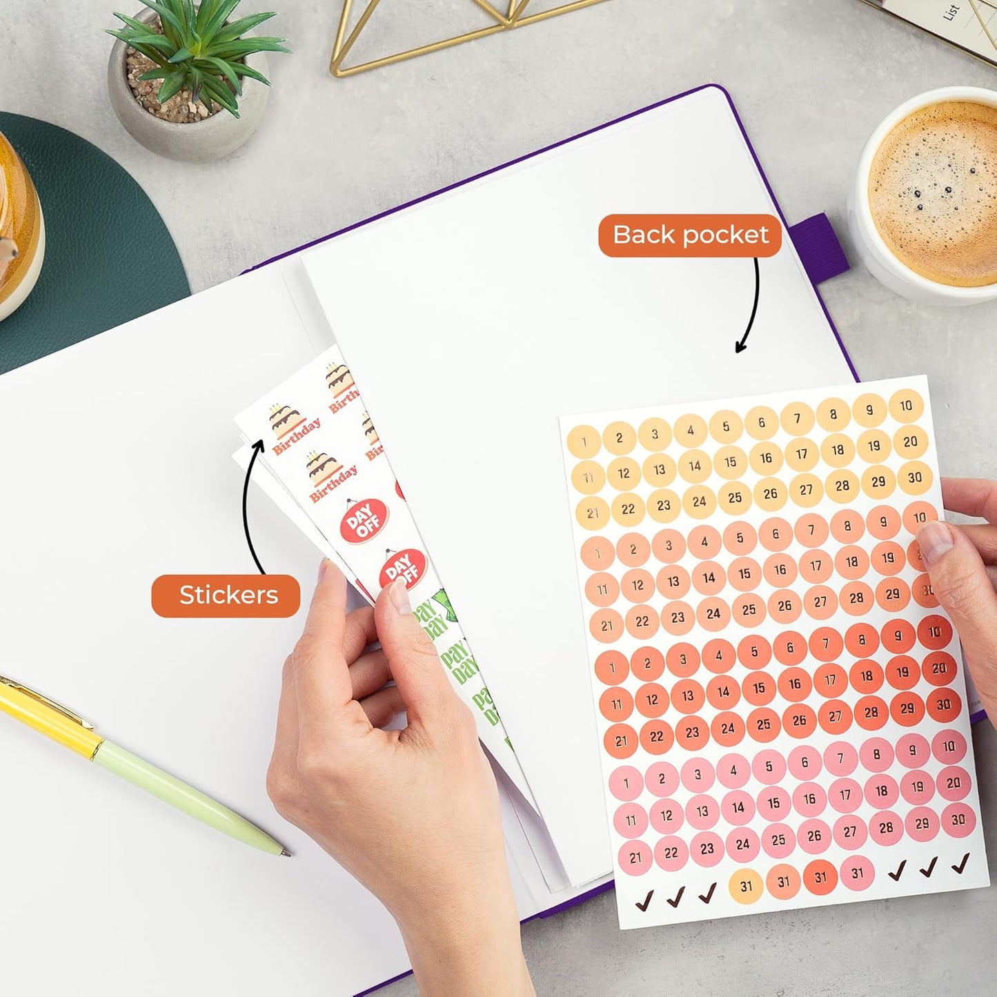 Clever Fox Appointment Book – Hourly Schedule Planner with 15-Minute Increments – Time Box Planner for Daily Work & To-Dos – Weekly & Monthly Spreads, Undated, Hardcover, 8.3x11″ (Purple)