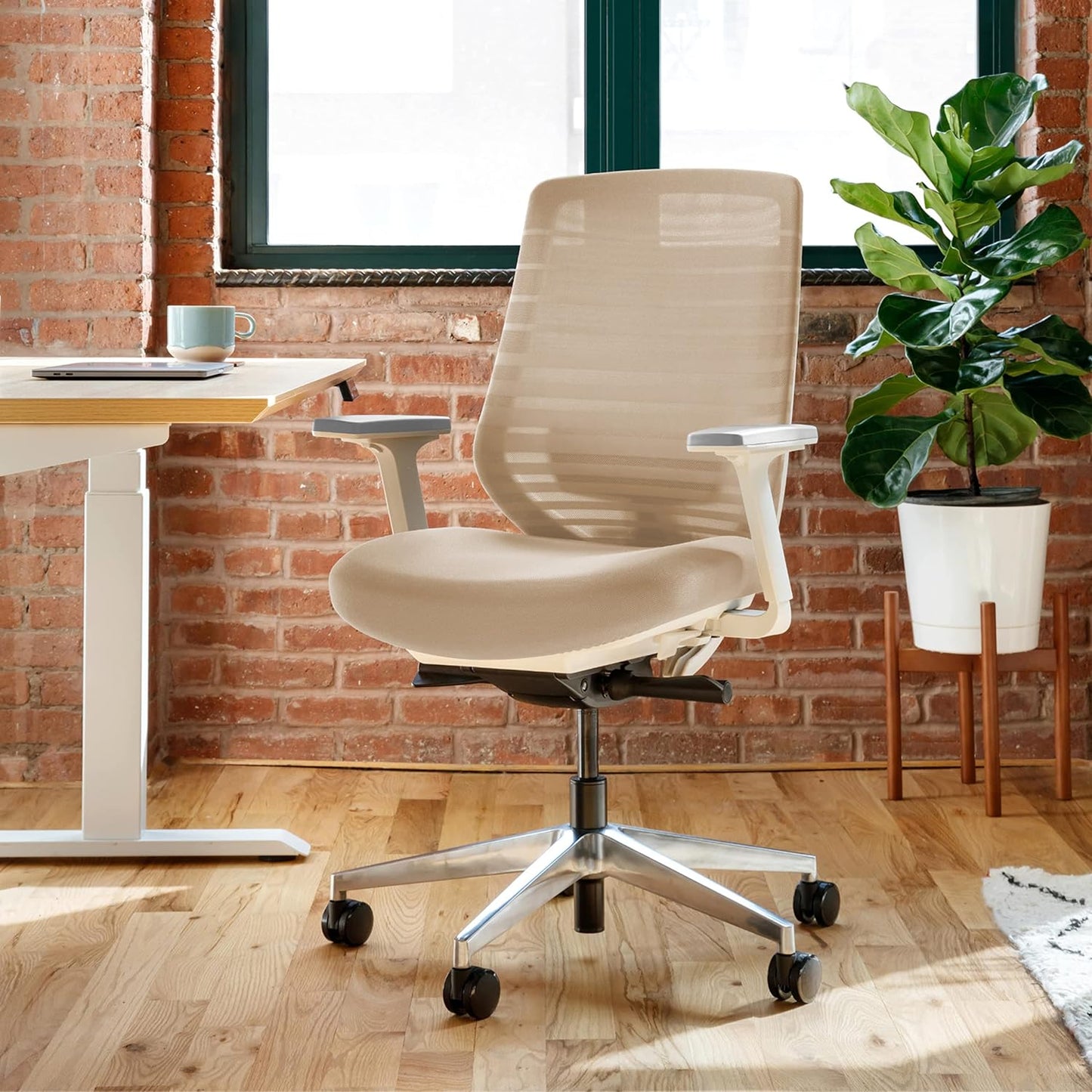 Branch Ergonomic Chair - A Versatile Desk Chair with Adjustable Lumbar Support, Breathable Mesh Backrest, and Smooth Wheels - Experience Optimal Comfort and Support - Sand - White