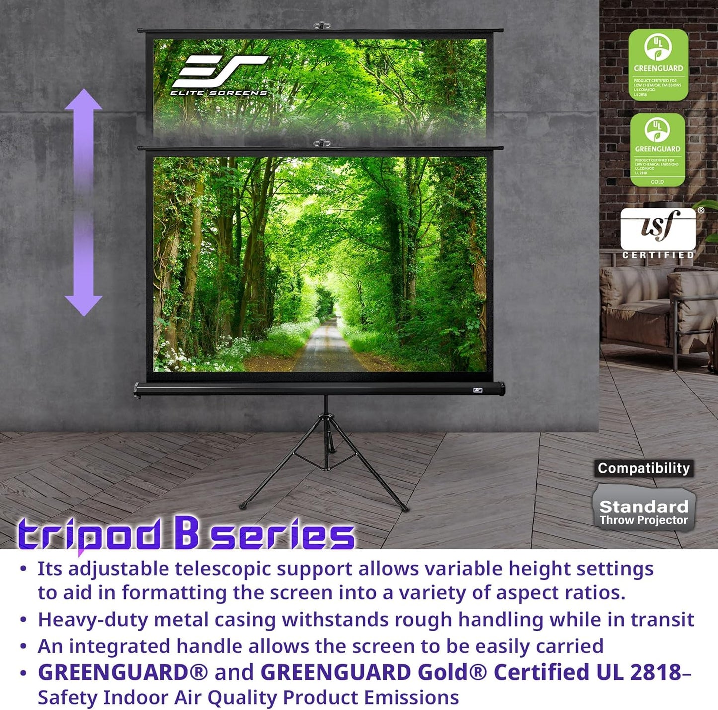 Elite Screens Tripod B, 85-INCH 1:1, Lightweight Pull Up Foldable Stand, Manual, Movie Home Theater Projector Screen, 4K / 8K Ultra HDR 3D Ready, US Based Company 2-YEAR WARRANTY, T85SB, black